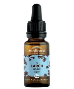 Larch (No. 19)